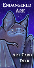 Bat Banner