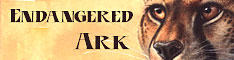 Cheetah Banner
