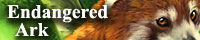 Red Panda Banner